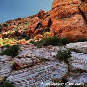 RedRock-attribution