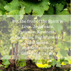 Fruit of the Spirit, Galatians, joy, bitterness