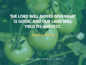 When God Grants an Unexpected Harvest, Garden, drought